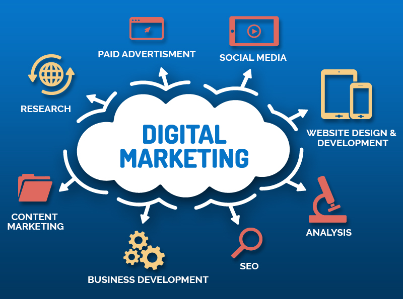 SEO & Digital Marketing